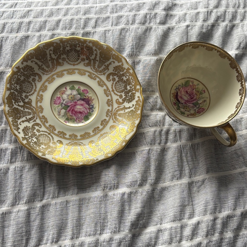 Colorado by Rosenthal-Continental Floral Gold Trim Teacup and Saucer Set-Germany